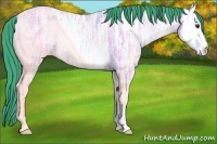 Horse Color:Watercolor Bay Ice Roan Onyx Rabicano 