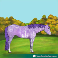 Horse Color:Watercolor Brown Ice Sabino 