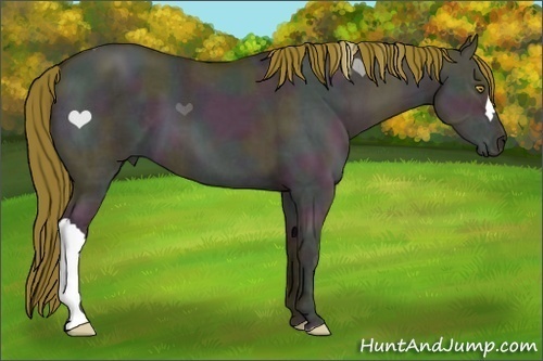 Horse Color:Midnight Brown Ice Pearl Dun 