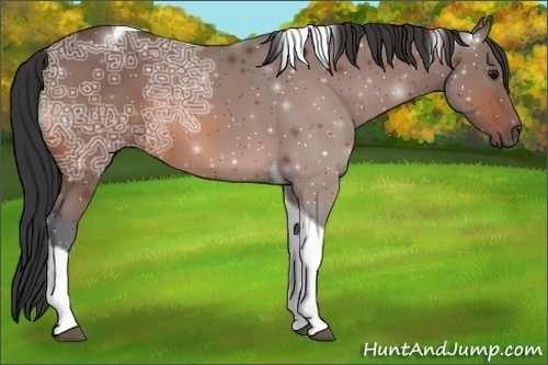 Horse Color:Bay Ice Tobiano Rabicano 