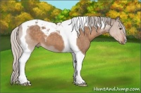 Horse Color:Silver Brown Dun Tobiano 