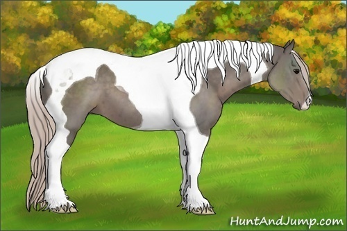 Horse Color:Silver Black Tobiano 