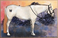 Horse Color:White Spotted Buckskin Pearl Dun Sabino 