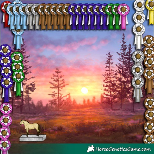 Horse Color:White Spotted Buckskin Tobiano Rabicano