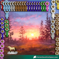 Horse Color:White Spotted Buckskin Tobiano Rabicano 