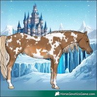 Horse Color:White Spotted Chocolate Palomino