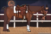 Horse Color:Chocolate Bay 