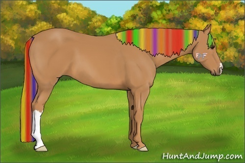 Horse Color:Painted Chestnut 