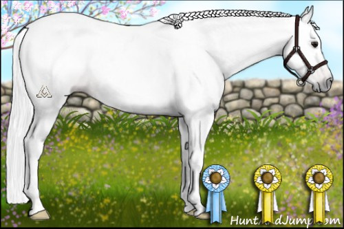 Horse Color:Gray Brown Tobiano 