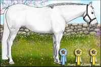 Horse Color:Gray Brown Tobiano 