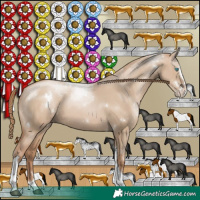 Horse Color:White Spotted Grullo Pearl Splash Tobiano Rabicano 