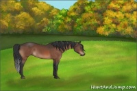 Horse Color:Brown 