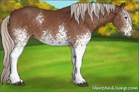 Horse Color:White Spotted Silver Brown Tobiano