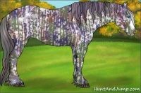 Horse Color:Watercolor White Spotted Brown Dun Splash Appaloosa  and Nacre Black Appaloosa 