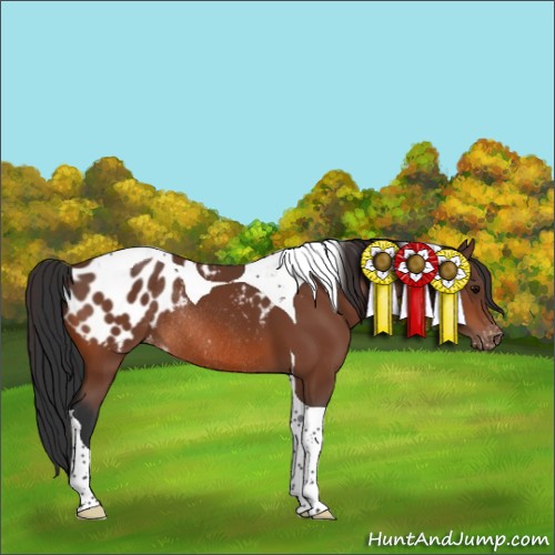 Horse Color:Bay Tobiano Blanket Rabicano 