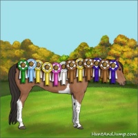 Horse Color:Bay Tobiano Rabicano