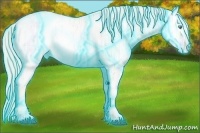 Horse Color:Thunderstruck Plaid  White Spotted Silver Buckskin Ice Pearl 