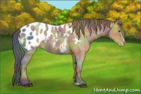 Horse Color:Nacre Buckskin Blanket 
