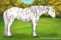 Horse Color:White Spotted Silver Brown Pearl Appaloosa 