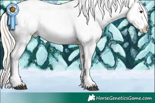 Horse Color:White Spotted Silver Buckskin Dun Sabino Appaloosa 