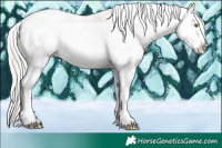 Horse Color:White Spotted Silver Brown Pearl Dun Blanket 