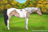 Horse Color:Bay Ice Tobiano