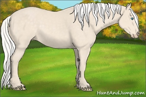 Horse Color:Silver Smoky Creme Rabicano 