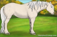 Horse Color:Silver Smoky Creme Rabicano 
