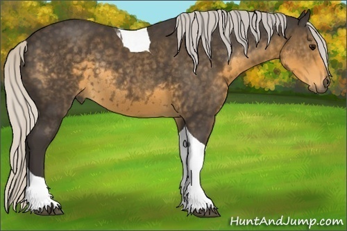 Horse Color:Silver Smoky Black Tobiano Rabicano