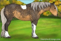 Horse Color:Silver Smoky Black Tobiano Rabicano