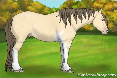 Horse Color:Amber Cream Champagne Dun Tobiano Rabicano 