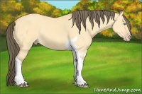 Horse Color:Amber Cream Champagne Dun Tobiano Rabicano