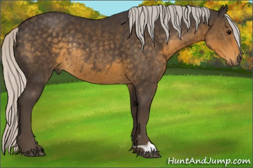 Horse Color:Silver Smoky Black Rabicano 