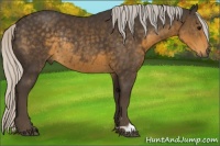 Horse Color:Silver Smoky Black Rabicano 