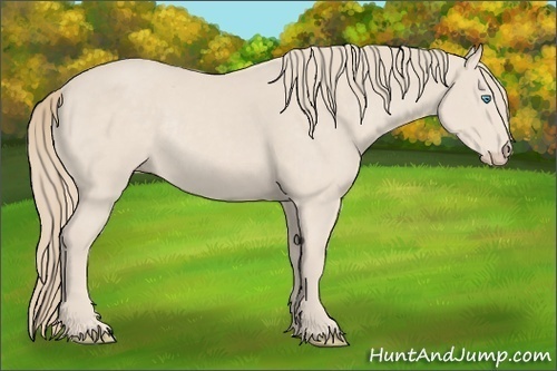 Horse Color:Smoky Creme Rabicano