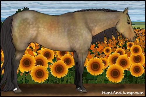 Horse Color:Buckskin Dun 