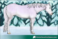 Horse Color:Watercolor Plaid White Spotted Cremello Onyx Splash