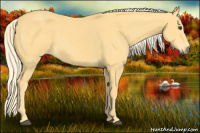 Horse Color:Palomino
