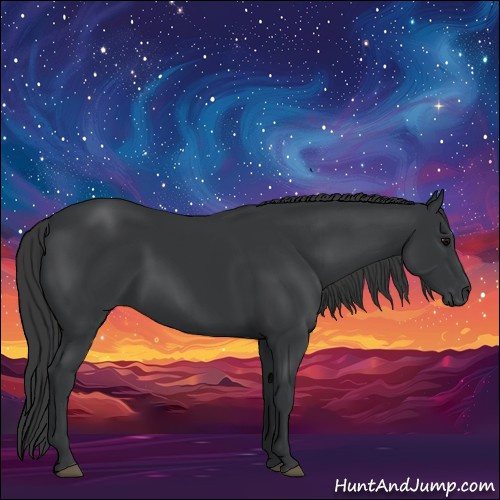 Horse Color:Black 