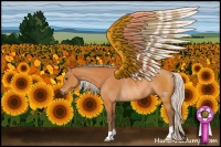 Horse Color:Silver Buckskin Rabicano 