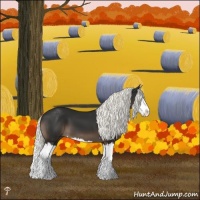 Horse Color:Liver Chestnut Mushroom Sabino Splash 