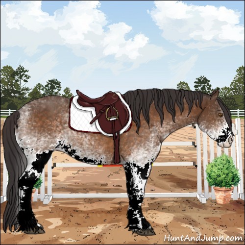 Horse Color:White Spotted Buckskin 