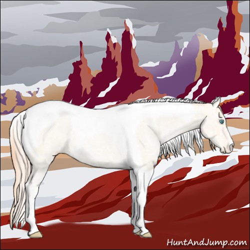 Horse Color:Amber Cream Champagne Ice Pearl Tobiano Appaloosa