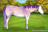 Horse Color:Watercolor Blue Onyx Ice Roan Splash 