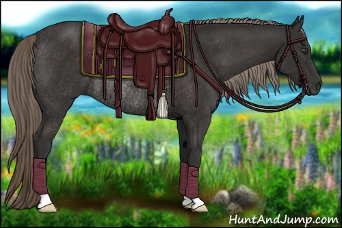 Horse Color:Liver Chestnut Rabicano 