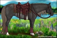 Horse Color:Liver Chestnut Rabicano 