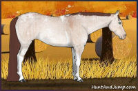 Horse Color:Chocolate Sable Champagne Ice Dun Tobiano Rabicano Brindle 