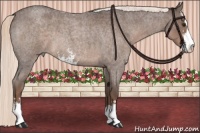 Horse Color:Liver Red Roan Mushroom Sabino 
