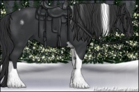 Horse Color:Black Tobiano 