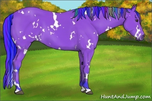 Horse Color:Painted Watercolor White Spotted Bay 